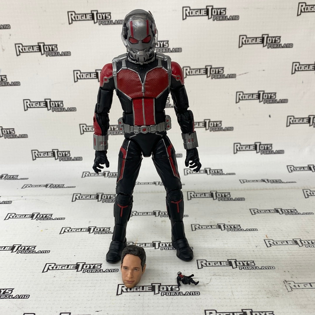 Marvel Legends Ant-Man (10 Years 2-Pack)