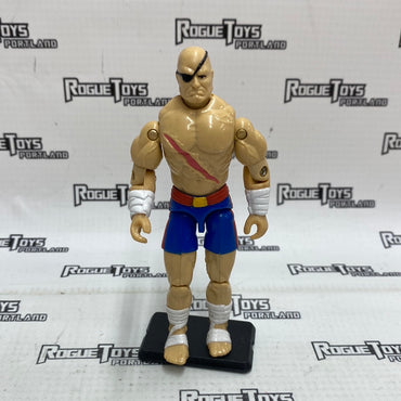 Vintage Hasbro Street Fighter Sagat