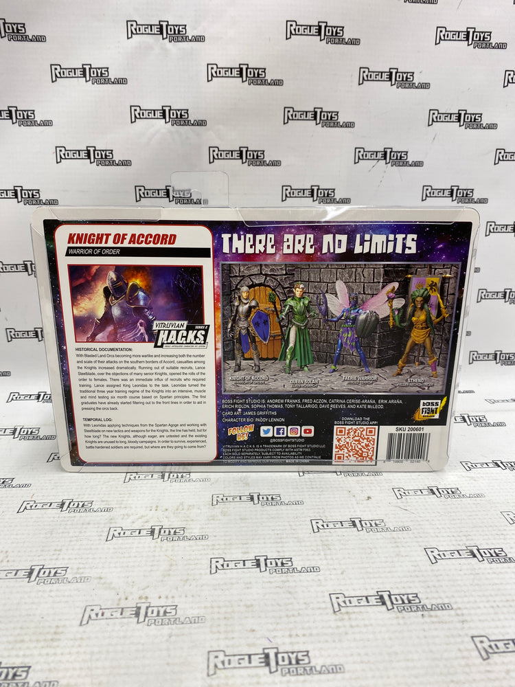 Boss Fight Studios Vitruvian H.A.C.K.S. Series 2 Knight of Accord Warrior of Order